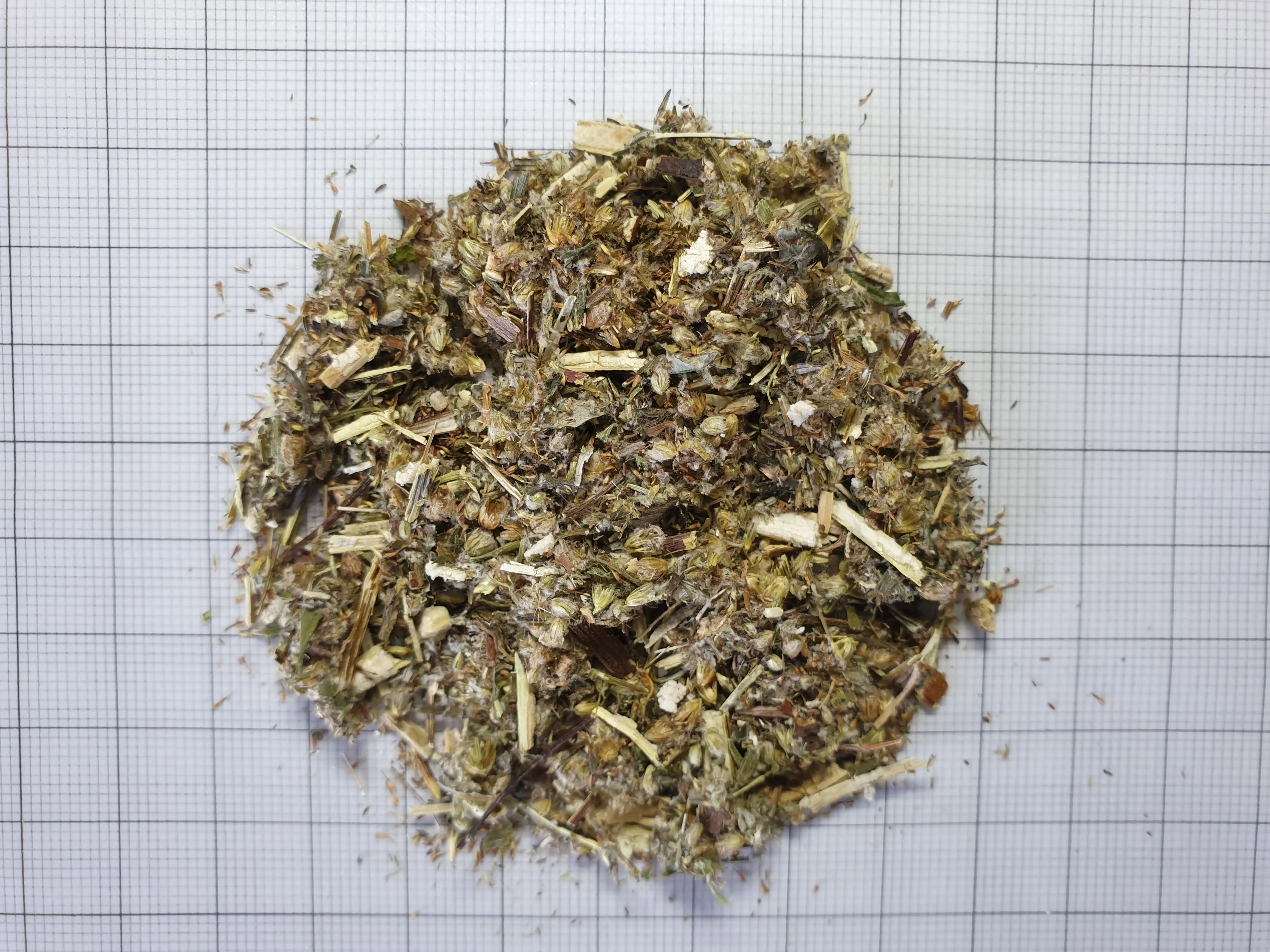 Mugwort Herb ~ Artemisia vulgaris