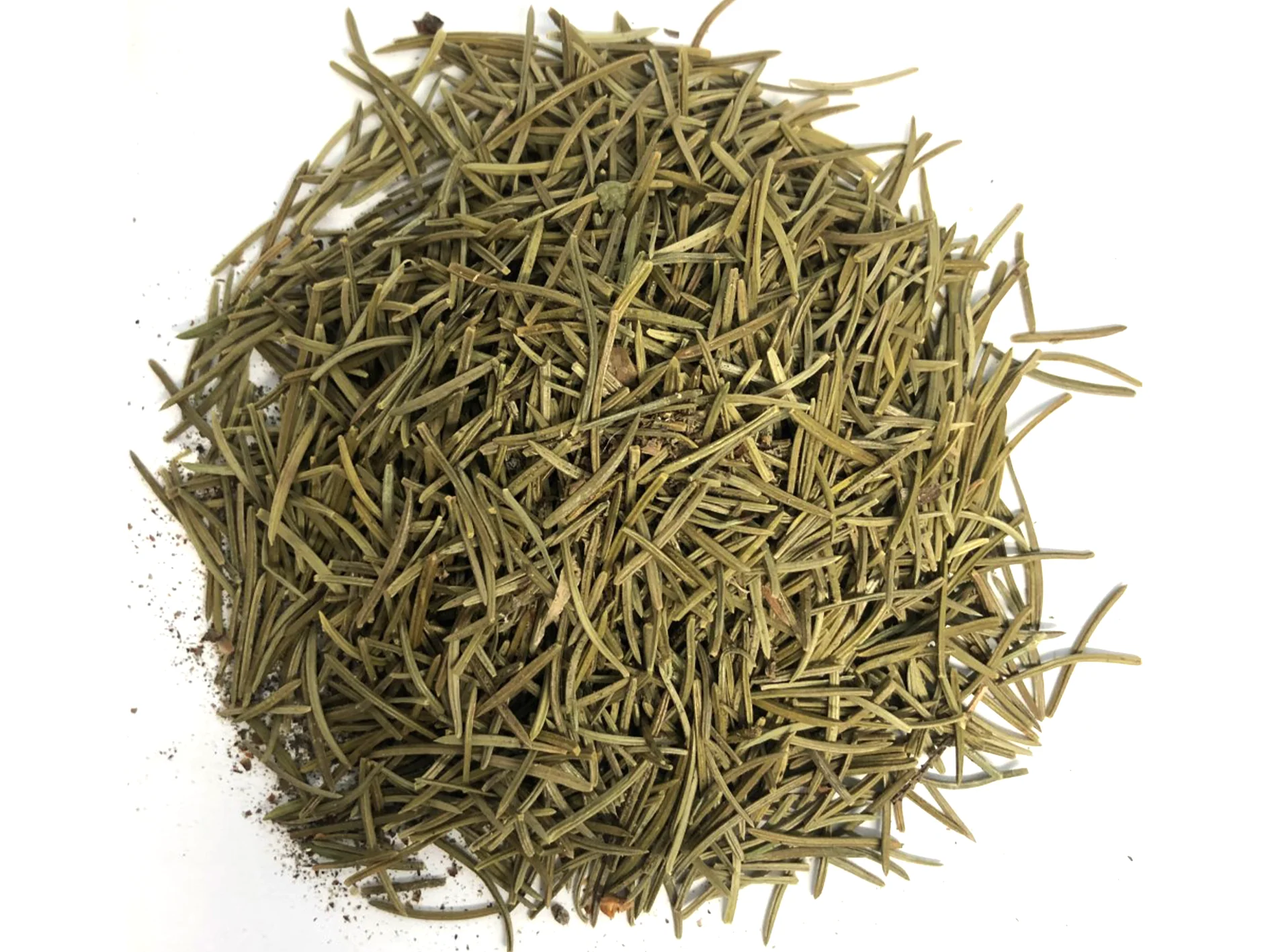 Pine Needle Tea
